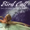 Bird Call - Tao of Love (The-Drum Reboot) - Single