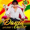 David Castro & Los Byby's - Mamita Querida - Single